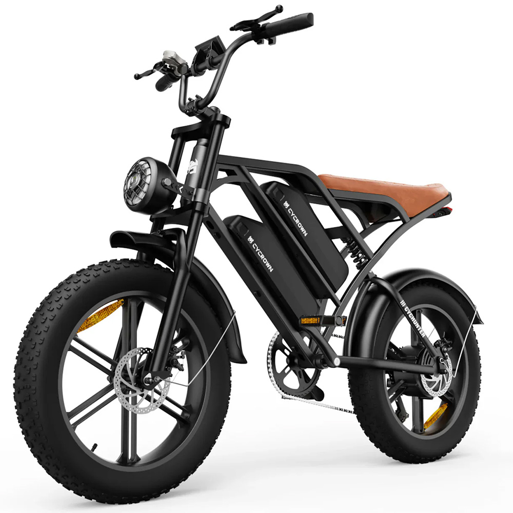 CycHunter Moped Style Ebike