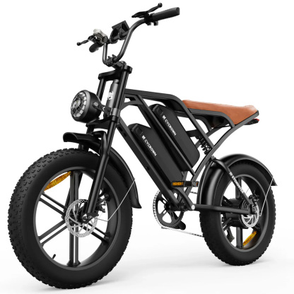 CycHunter Moped Style Ebike