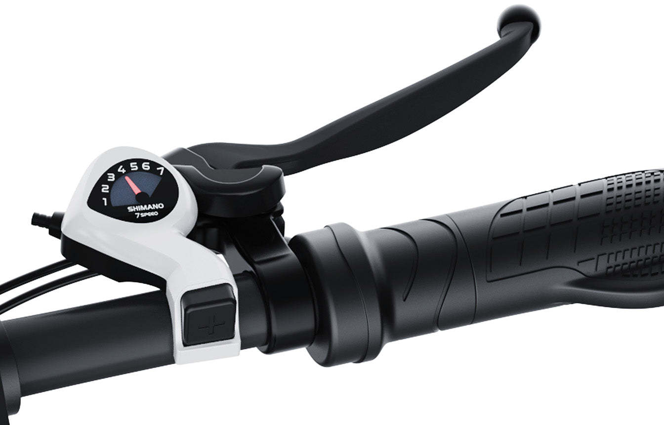 CycFree Foldable Ebike