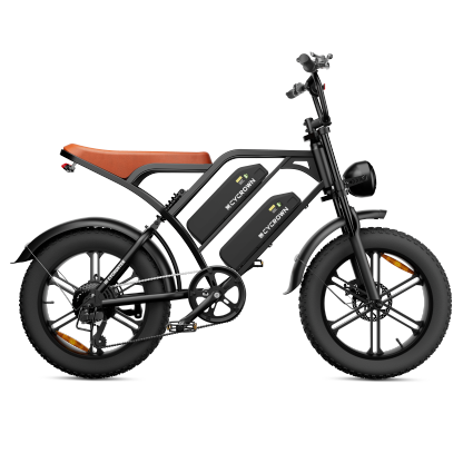 CycHunter Moped Style Ebike