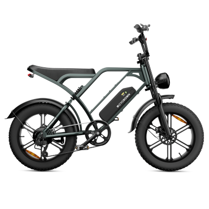 CycHunter Moped Style Ebike