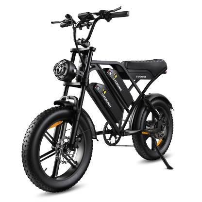 CycHunter Moped Style Ebike