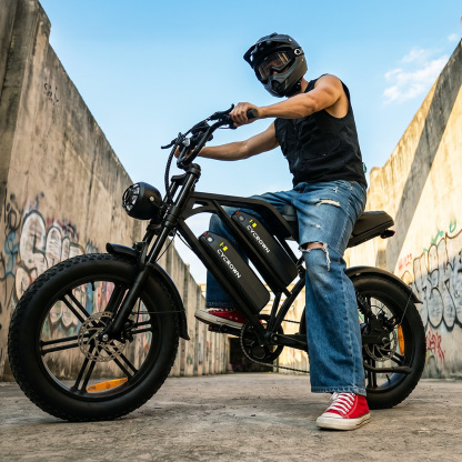 CycHunter Moped Style Ebike