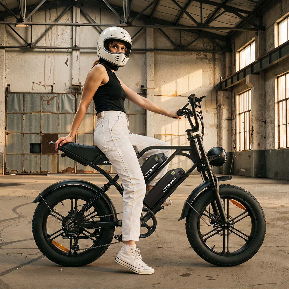 CycHunter Moped Style Ebike