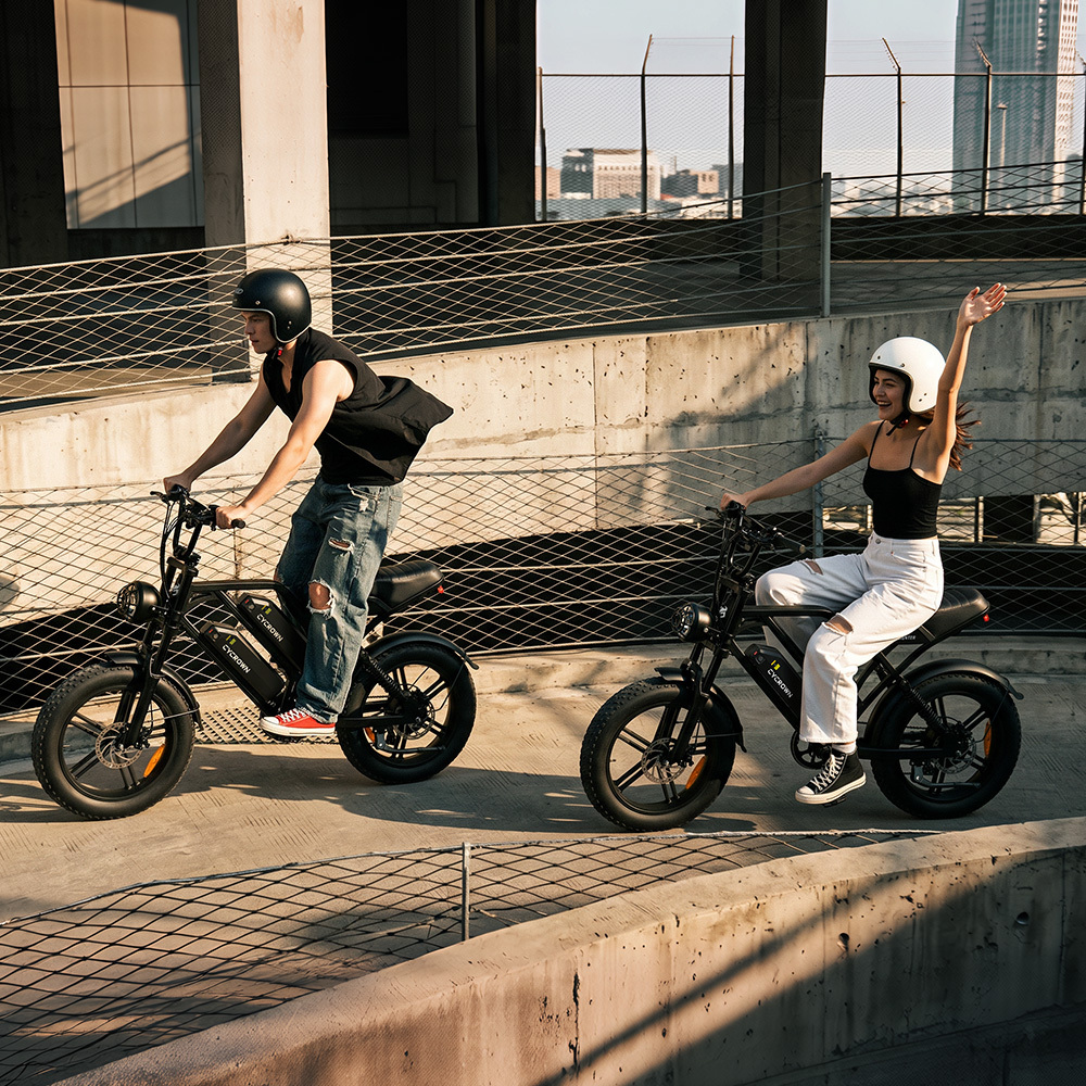 CycHunter Moped Style Ebike
