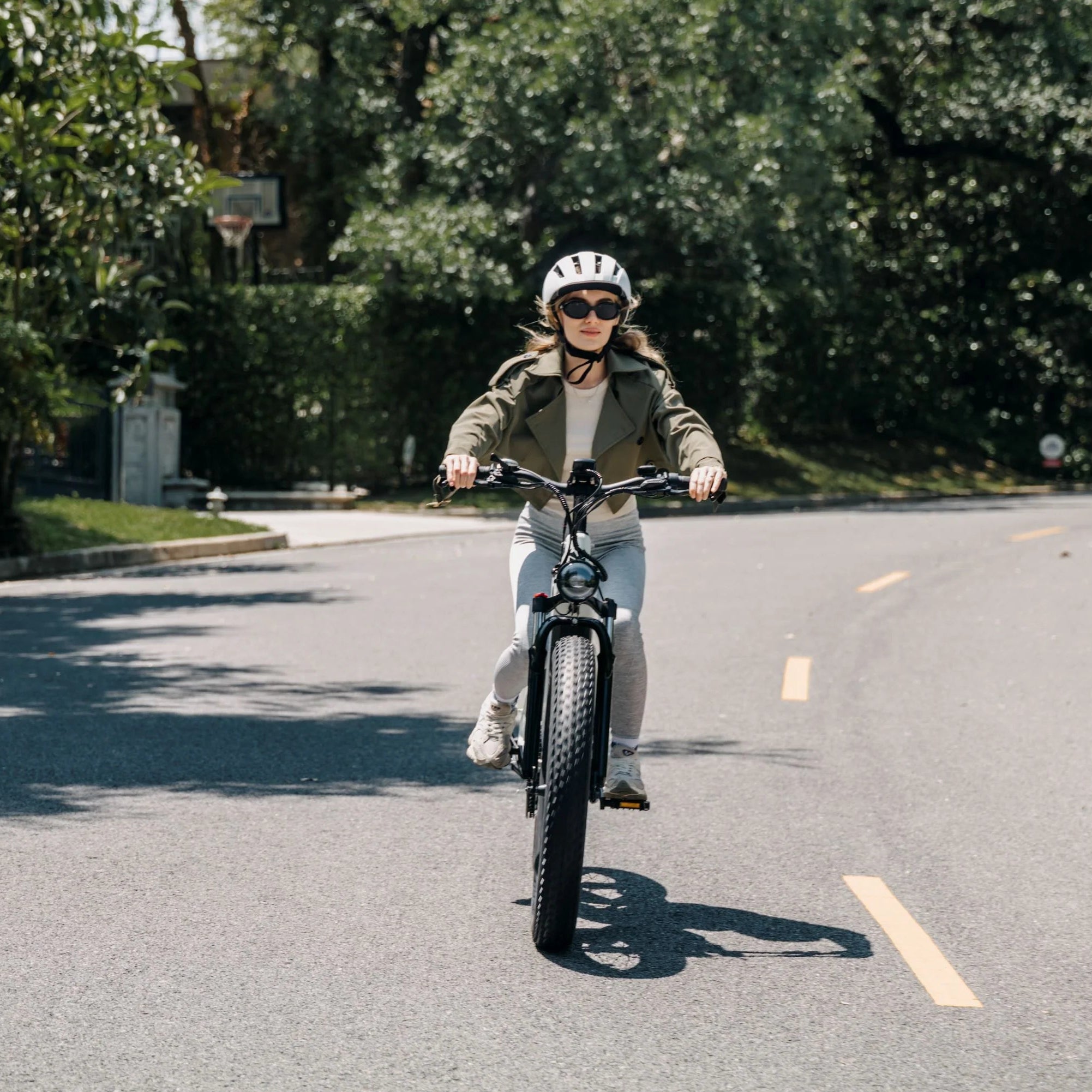 CycVerve All-Terrain Ebike