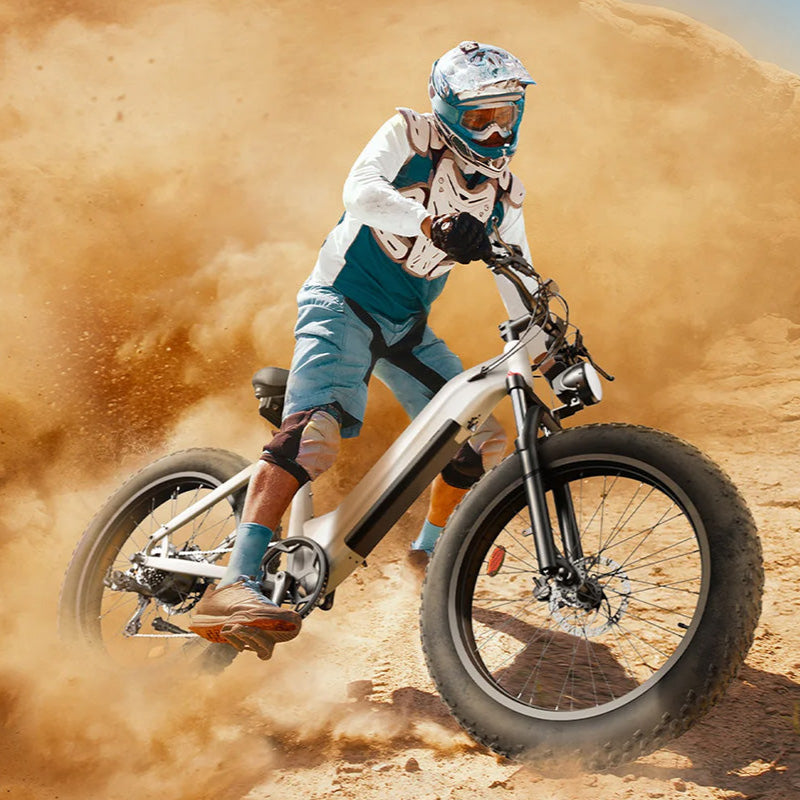 CycVerve All-Terrain Ebike