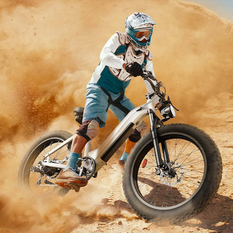 CycVerve All-Terrain Ebike