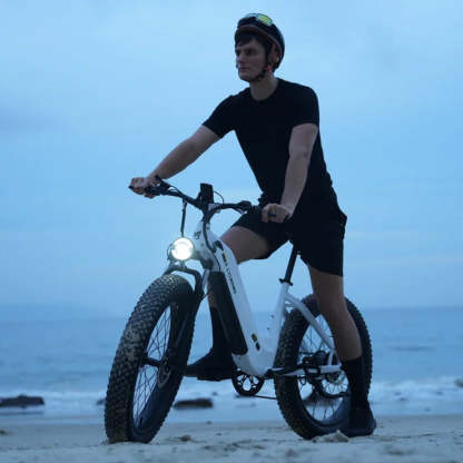 CycVerve All-Terrain Ebike