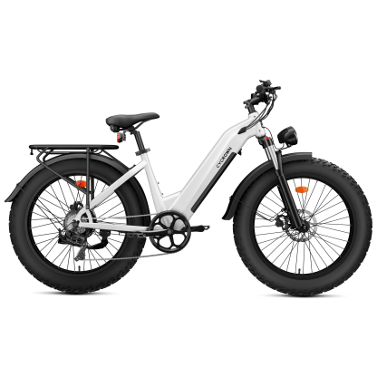 CycVerve All-Terrain Ebike