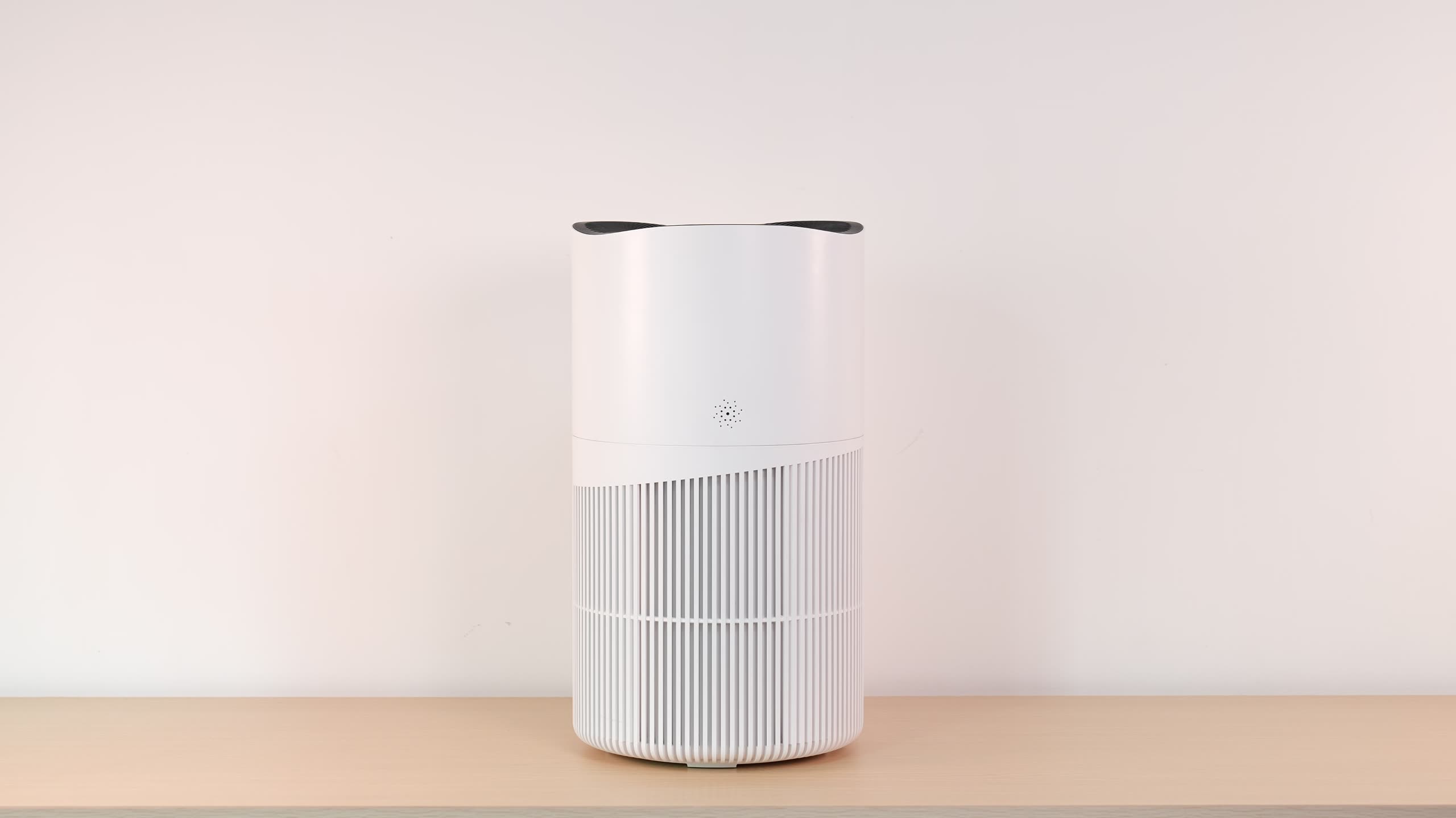 Negative ion air purifier