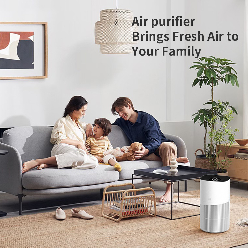 Negative ion air purifier