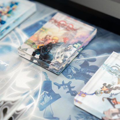 Framed Kingdom Hearts