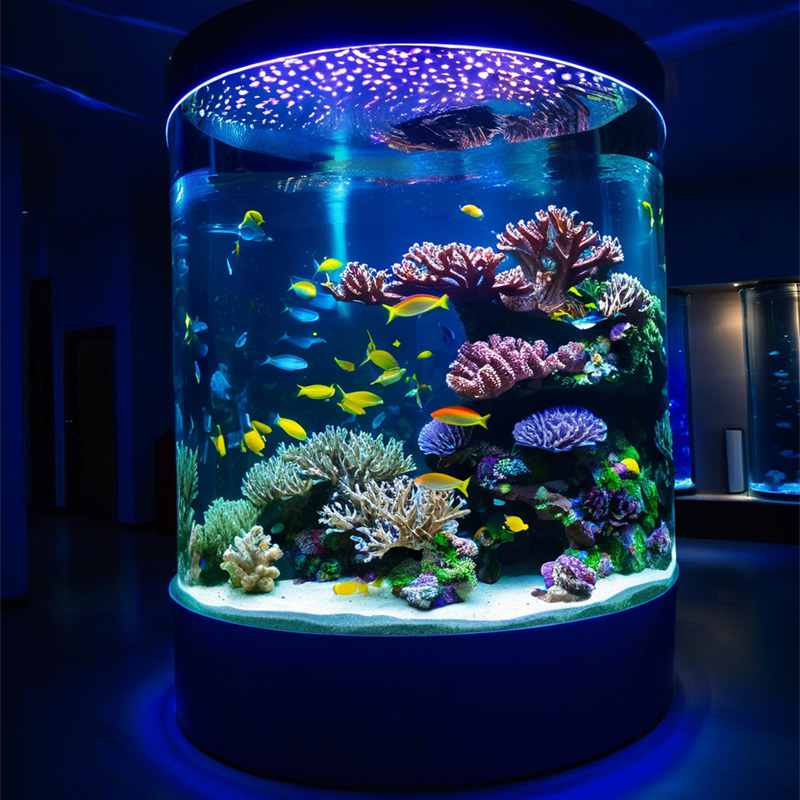 【Customized】Large Acrylic Aquarium   Cylindrical Ecological Fish Tank