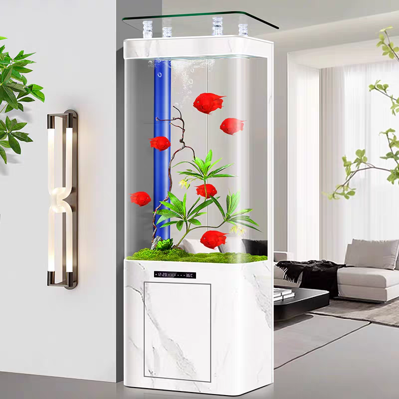 【Customized】Ultra-white glass ecological water-free aquarium with dry and wet separation