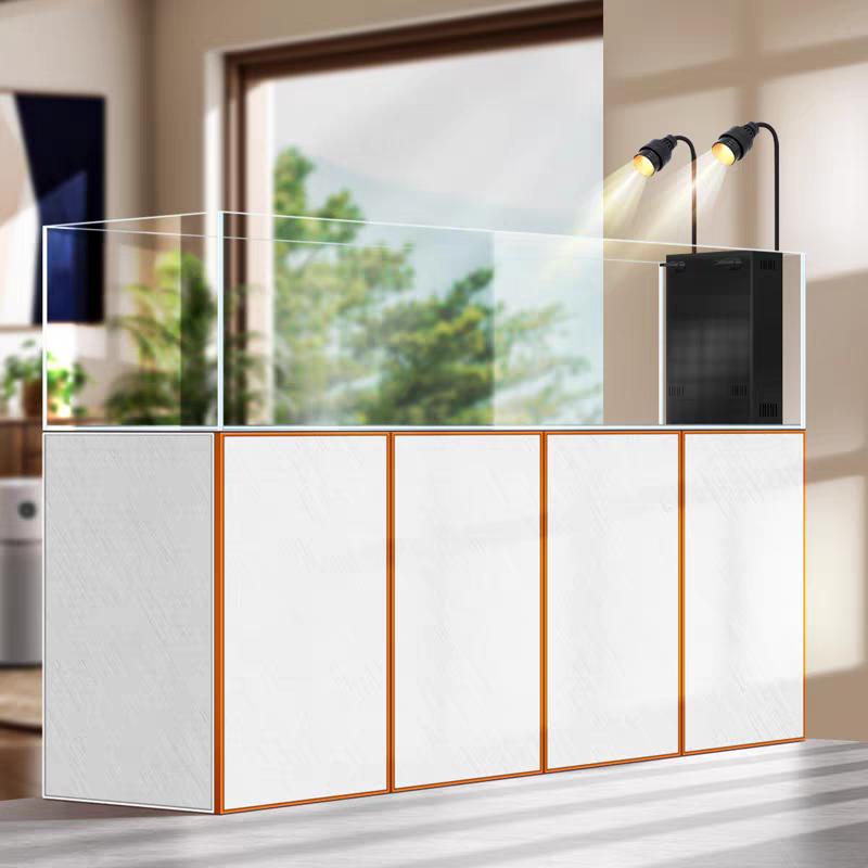 【Customized】 Ultra-clear glass ecological landscape water plant tank, long-term water change-free