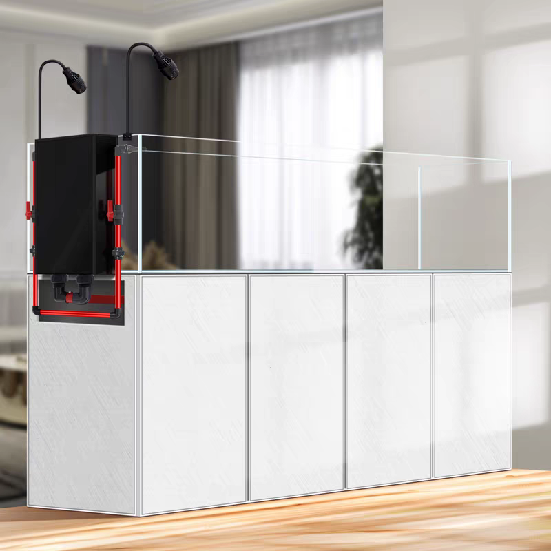 【Customized】 Ultra-clear glass ecological landscape water plant tank, long-term water change-free