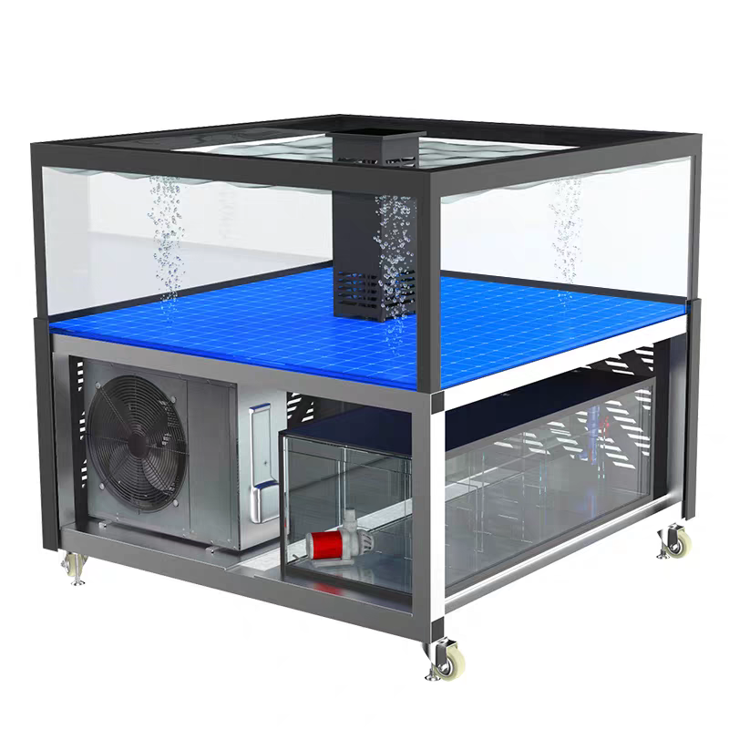 【Customized】 Single-layer square lobster tank  mobile breeding tank for supermarkets and hotels