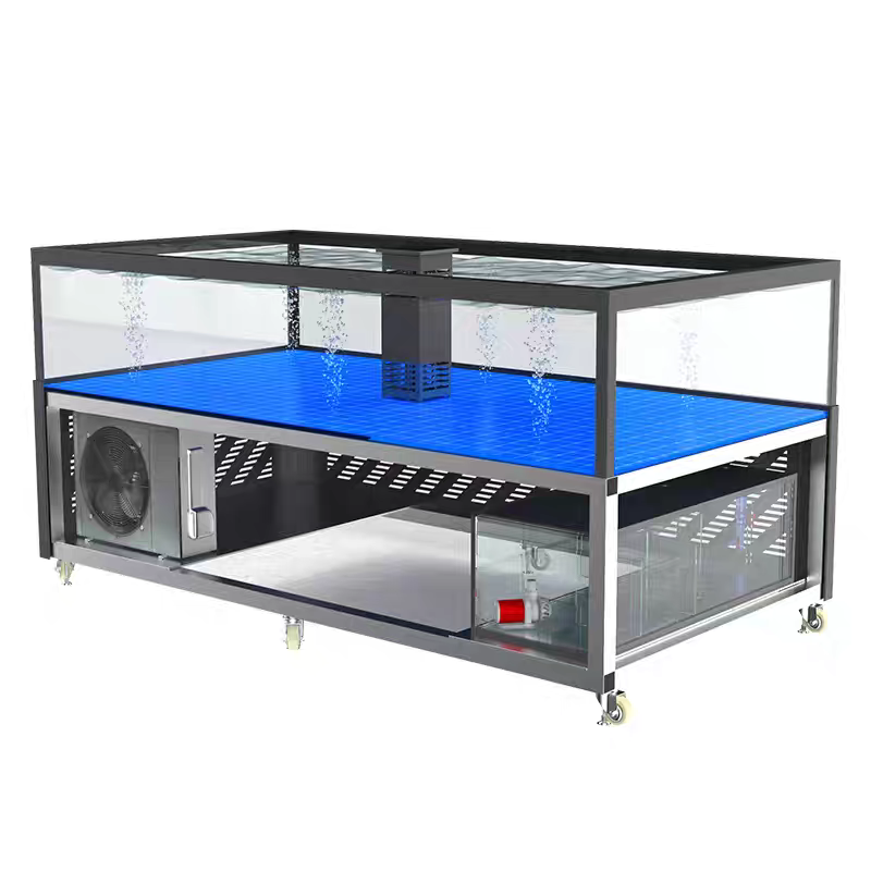 【Customized】 Single-layer square lobster tank  mobile breeding tank for supermarkets and hotels