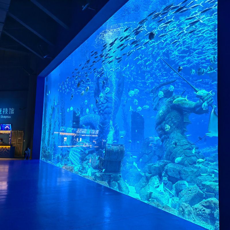【Customized】 Acrylic Transparent Window for Aquariums and Oceanariums - Free Design
