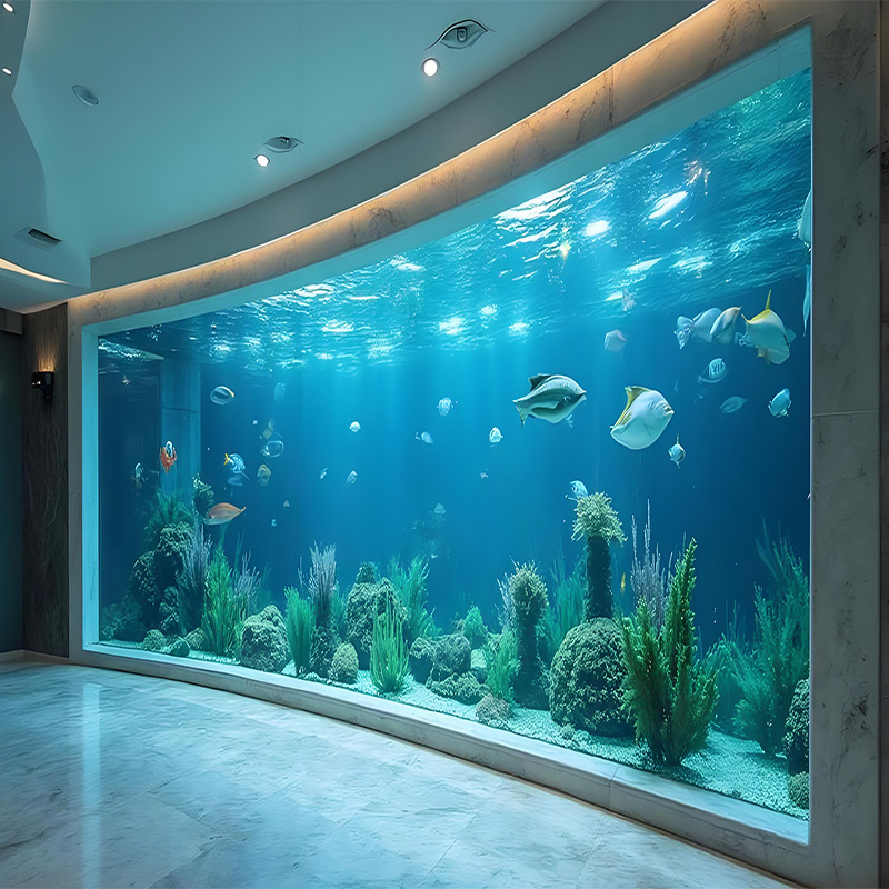 【Customized】curved acrylic viewing window for aquariums  any size
