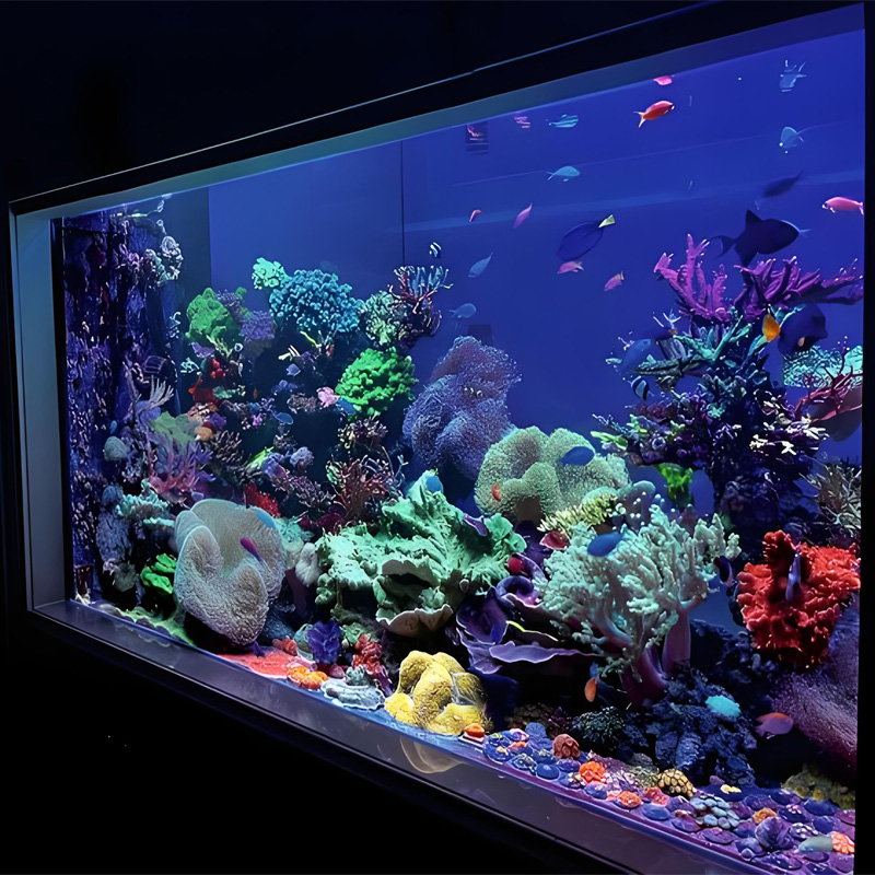 【Customized】Large ecological landscape organic glass fish tank  free design