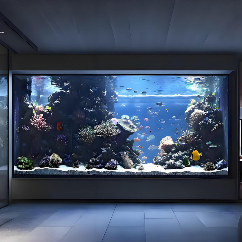 【Customized】Commercial Exhibition Acrylic Aquarium with Bottom Filtration System