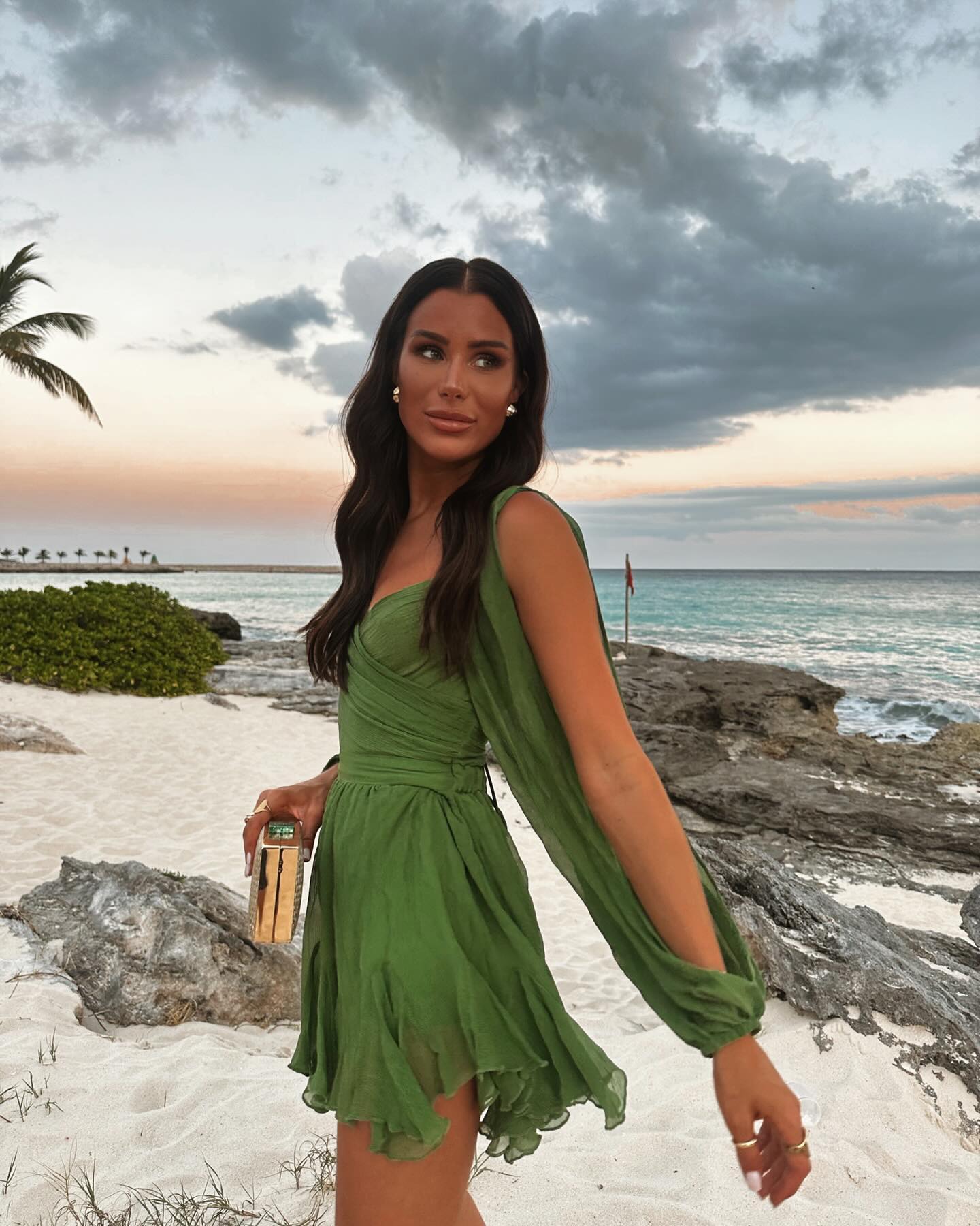 Netted Lantern Backless Ruffle Mini Dress