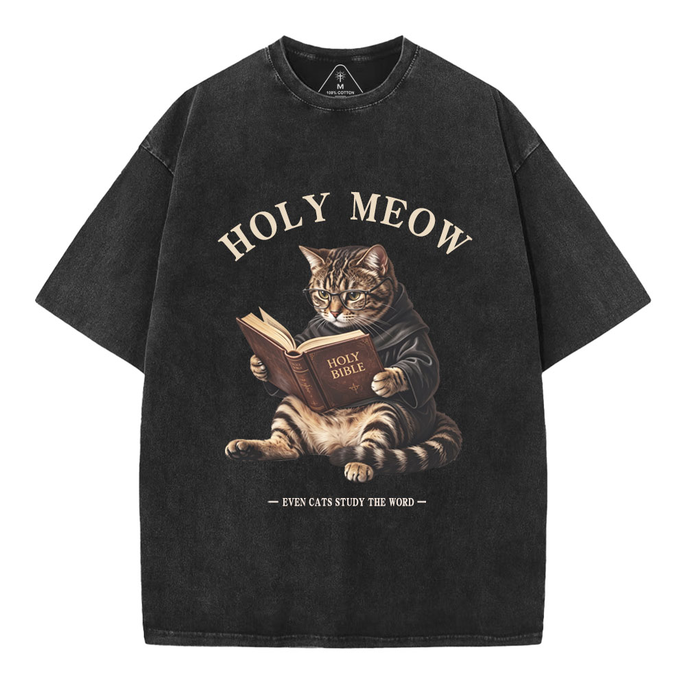 Holy Meow Even Cats Study The Word Christian Washed T-Shirt