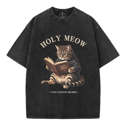 Holy Meow Even Cats Study The Word Christian Washed T-Shirt