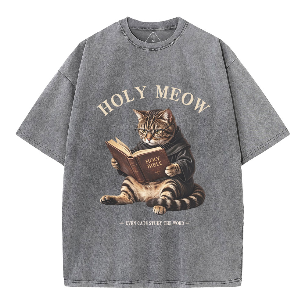 Holy Meow Even Cats Study The Word Christian Washed T-Shirt