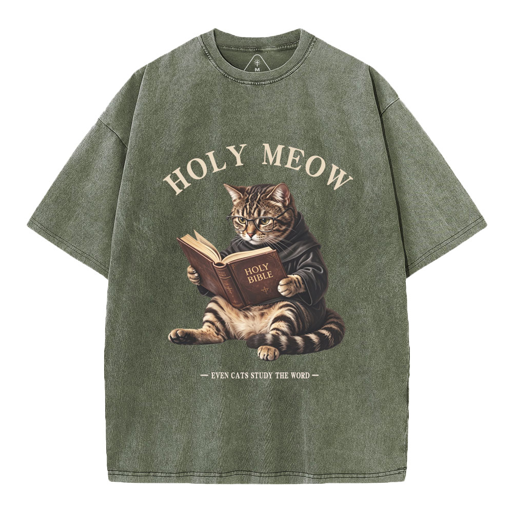 Holy Meow Even Cats Study The Word Christian Washed T-Shirt