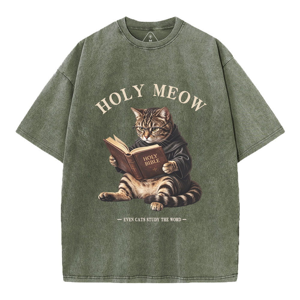 Holy Meow Even Cats Study The Word Christian Washed T-Shirt