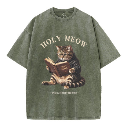 Holy Meow Even Cats Study The Word Christian Washed T-Shirt