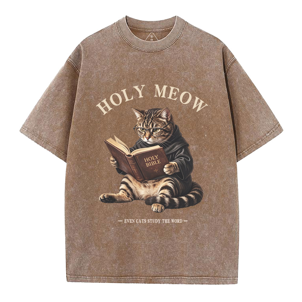 Holy Meow Even Cats Study The Word Christian Washed T-Shirt