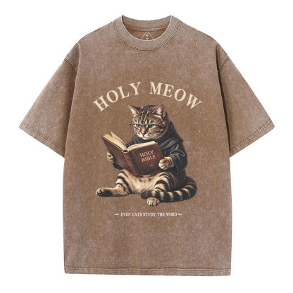 Holy Meow Even Cats Study The Word Christian Washed T-Shirt
