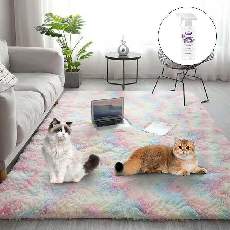 🔥 Gradient Color Plush Floor Mat