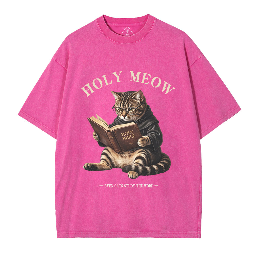 Holy Meow Even Cats Study The Word Christian Washed T-Shirt