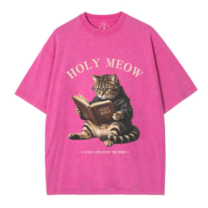 Holy Meow Even Cats Study The Word Christian Washed T-Shirt