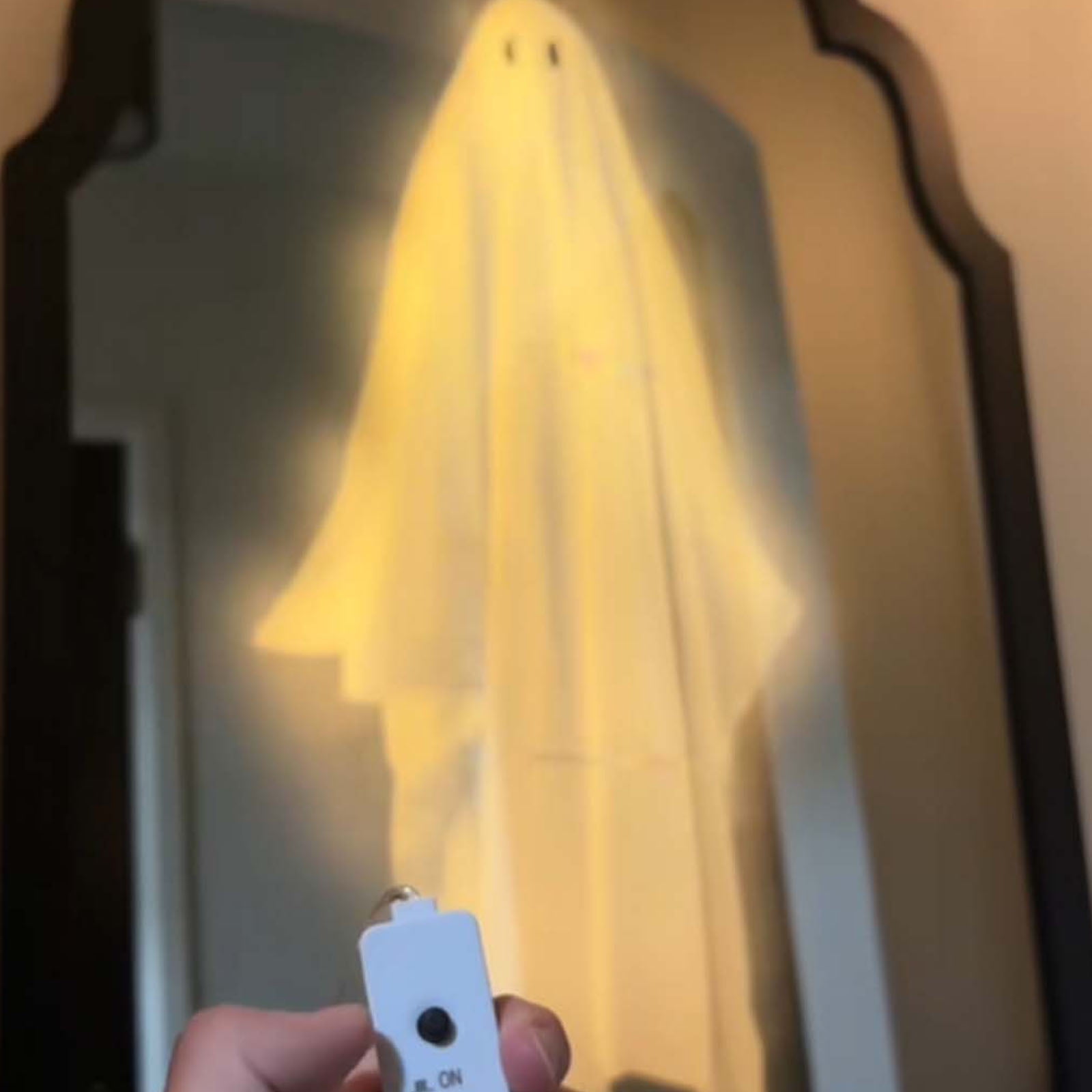 2025 Halloween Hologram Ghost Mirror, Spooky Scary Ghosts for Halloween Decor Indoor, Halloween Room Decor, Hallowmas Party Supplies