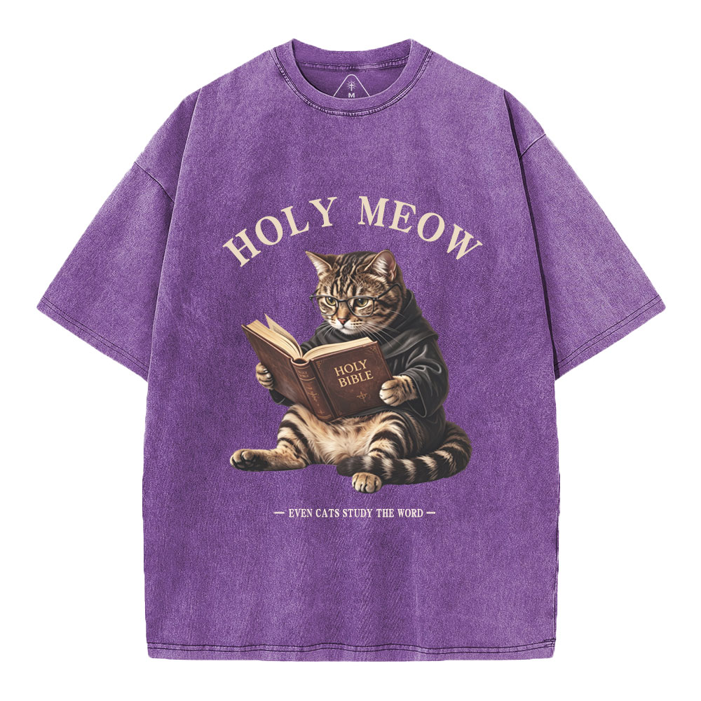 Holy Meow Even Cats Study The Word Christian Washed T-Shirt