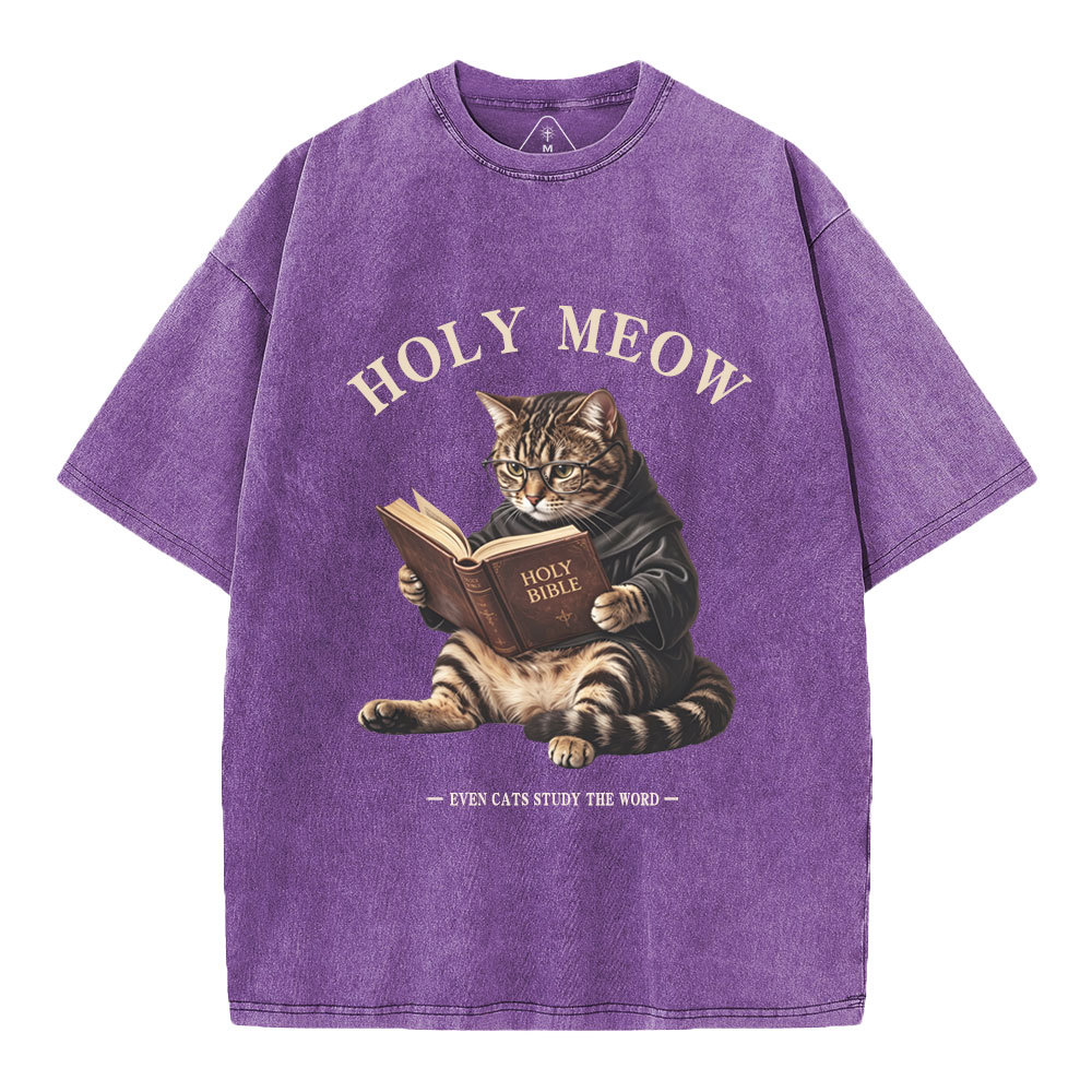 Holy Meow Even Cats Study The Word Christian Washed T-Shirt
