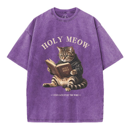 Holy Meow Even Cats Study The Word Christian Washed T-Shirt