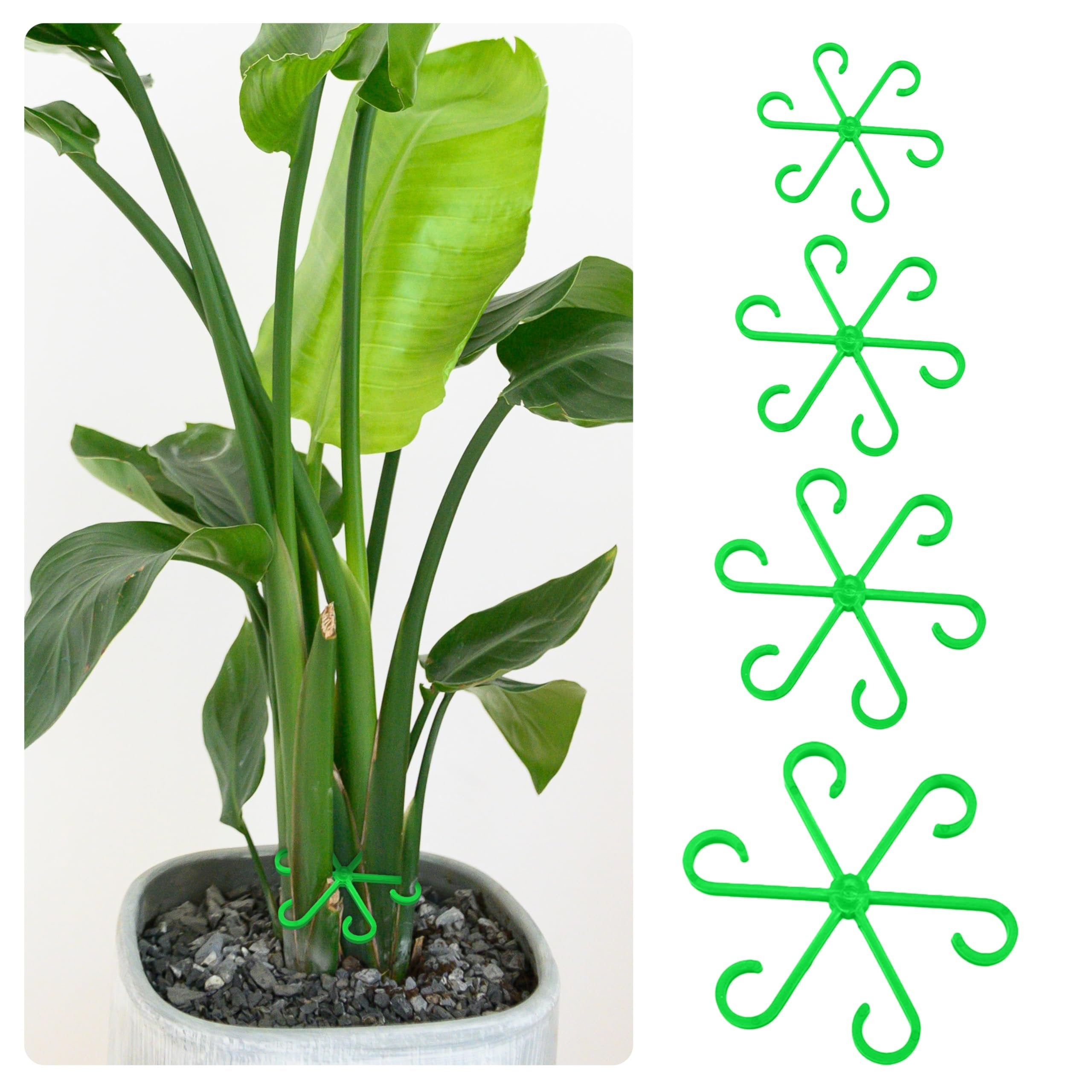 🌿Plant Stem Support Set