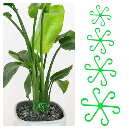 🌿Plant Stem Support Set