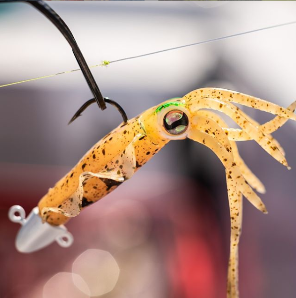 Squidy Luminous Lure - Buy 2 Get 1 Free Today