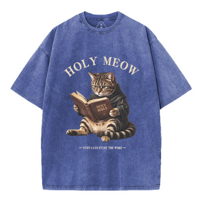 Holy Meow Even Cats Study The Word Christian Washed T-Shirt