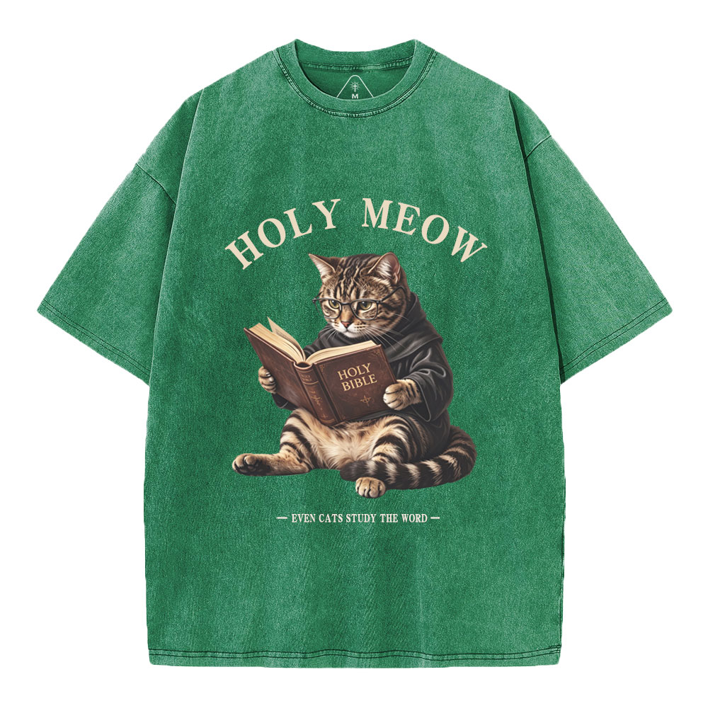 Holy Meow Even Cats Study The Word Christian Washed T-Shirt