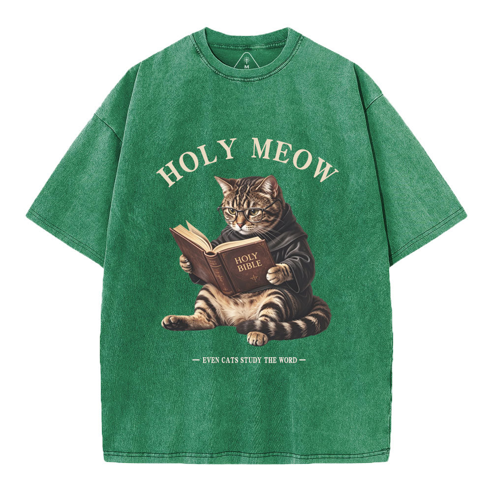 Holy Meow Even Cats Study The Word Christian Washed T-Shirt