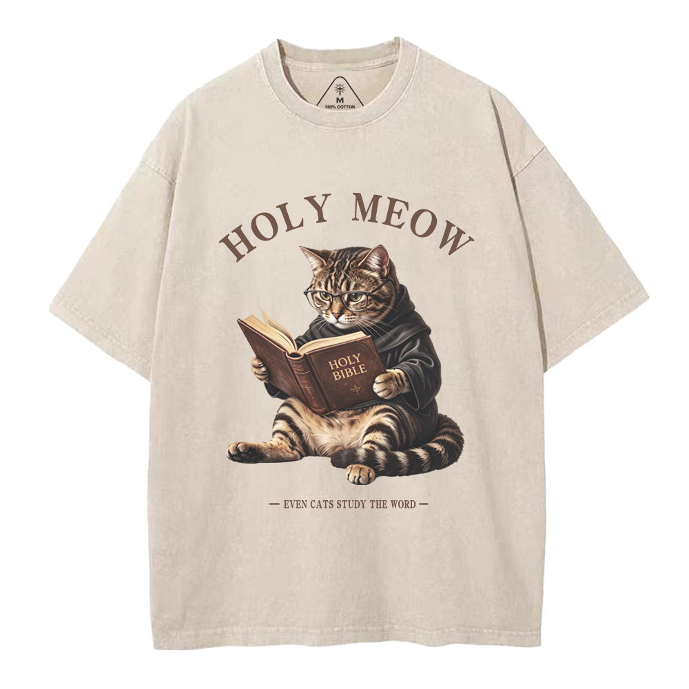 Holy Meow Even Cats Study The Word Christian Washed T-Shirt